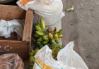 Kenapa KPM Menjual Beras Bantuan, Ini Alasannya