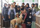 Potensi Ekonomi Kurban Rp 2,8 Triliun, Dompet Dhuafa Yogyakarta Gelar Jelajah Kandang