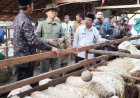 Baznas RI Meluncurkan Program Balai Ternak di Gunungkidul