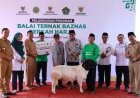 Baznas RI Meluncurkan Balai Ternak di Kulonprogo