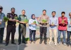 Lahan Tidur Seluas 230,19 Hektar Mulai Ditanami Padi