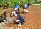 Trees 4 Trees Tanam 1.000 Pohon di Sekitar Waduk Sempor