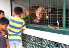 Bahkan Jalan Raya Depan Masjid Agung Purworejo Ditutup Sejak Subuh