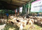 Warga Singapura Bantu 1.600 Kambing Kurban untuk Gunungkidul