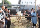 Bupati Serahkan Bantuan Hewan Kurban Baznas