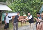 BMT Artha Amanah Sanden Bagikan Hewan Kurban