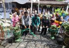 Aglaonema Park Terbesar Diresmikan di Kabupaten Sleman 