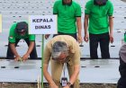 Petani Cabai Sleman Melakukan Gerakan Peduli Inflasi
