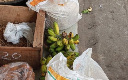 Kenapa KPM Menjual Beras Bantuan, Ini Alasannya