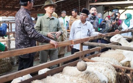 Baznas RI Meluncurkan Program Balai Ternak di Gunungkidul
