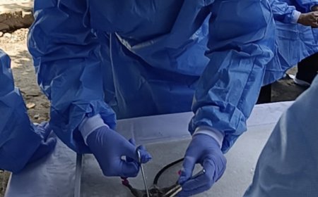 Terjadi 20 Kasus Leptospirosis di Sleman, Tiga Orang Meninggal