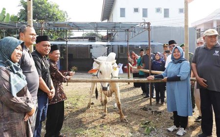 Bupati Serahkan Bantuan Hewan Kurban Baznas