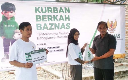 Baznas Salurkan 56 Ekor Domba Kurban di Kebumen