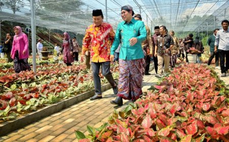 Aglaonema Park Puri Mataram Ikon Baru Indonesia yang Mengangkat Potensi Lokal