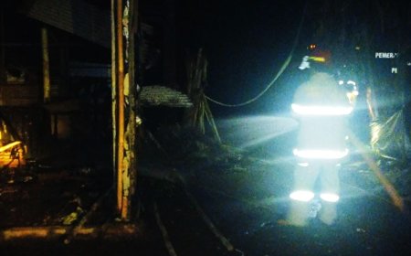 Diawali Letupan Keras, Kandang Terbakar Mengakibatkan Seekor Sapi Betina Bunting Mati