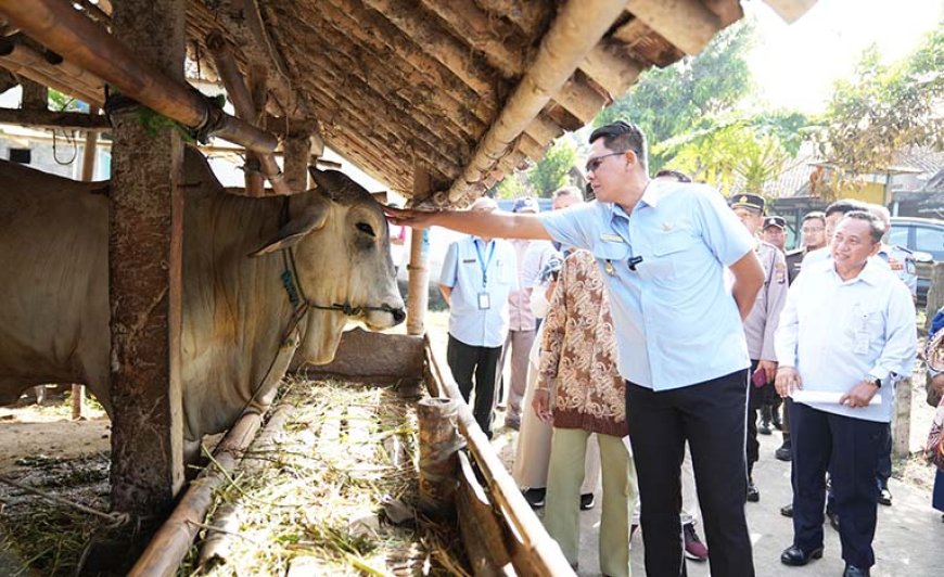 Pantau Hewan Kurban, TPID Menyebut Ada Kenaikan Harga Tapi Aman