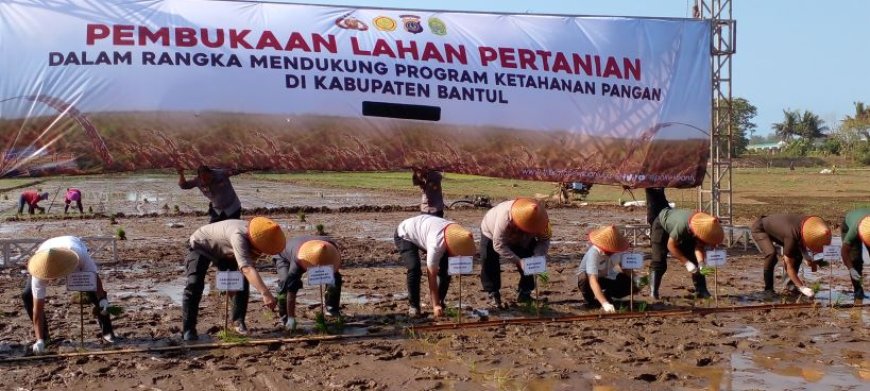 Polri Buka Lahan Pertanian Baru 7,2 Hektar di Bantul