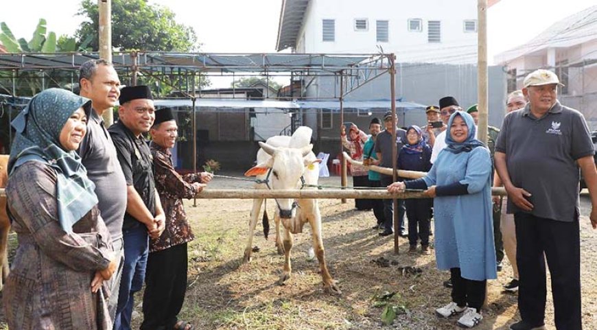 Bupati Serahkan Bantuan Hewan Kurban Baznas