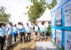 Kontribusi Lingkungan, Pelita Air Tanam 10 Ribu Pohon di Ngawi dan Lakukan Penerbangan Hijau