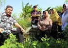 Kementan Beri Bantuan 115 Pompa Air untuk Ketahanan Pangan Purworejo
