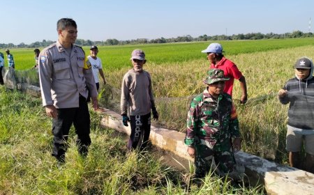 Petani di Klaten, Babinsa dan Bhabinkamtibmas Kompak Melaksanakan Gropyokan Tikus