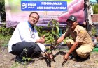 PT PNM Bantu 200 Bibit Mangga Kiyosi Ditanam di Desa Ngentak Purworejo