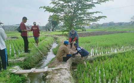 Pemdes Nglinggi dan Petugas Gabungan Menggelar Pengasapan Menanggulangi Hama Tikus