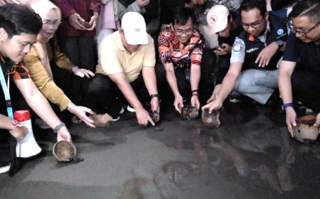 Anak-anak Muda Melepas Tukik 79 Ekor ke Laut, Sambut HUT Kemerdekaan RI
