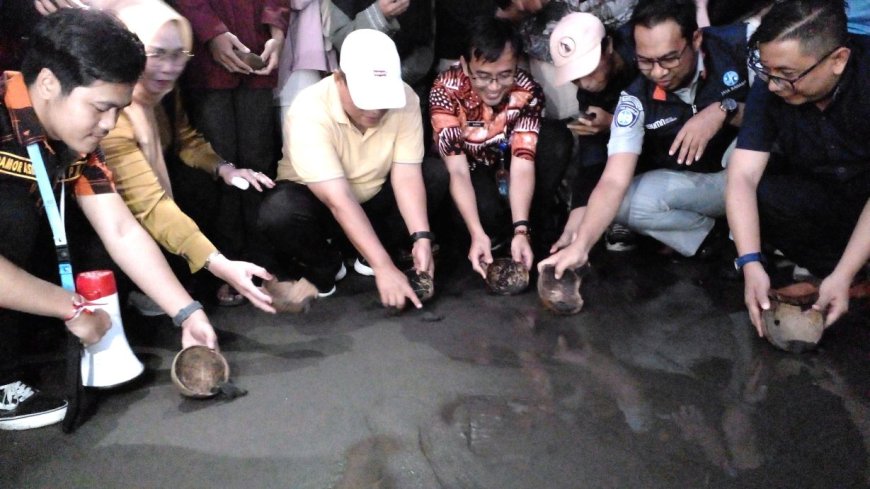 Anak-anak Muda Melepas Tukik 79 Ekor ke Laut, Sambut HUT Kemerdekaan RI