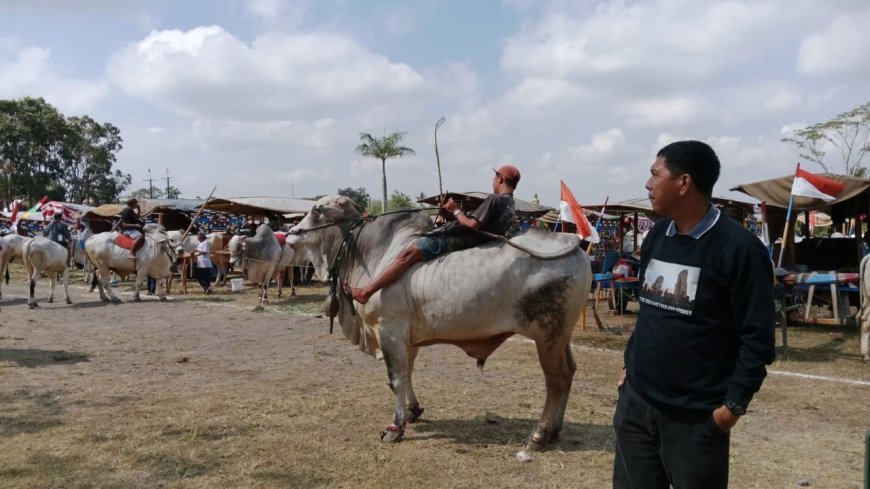 Aksi Damai Pawai 79 Gerobak Sapi Siap Digelar
