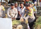 Kapolres Pimpin Panen Raya di Bulak Nglatek Lendah, Dukung Kedaulatan Pangan