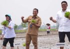 Wakil Menteri Pertanian Bilang Petani Jangan Kesusahan 