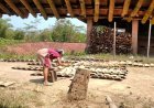 Cuaca Cerah Rezeki bagi Buruh Industri Genteng di Kebumen