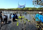 Stimaryo Tanam 1.500 Mangrove di Destinasi Wisata Laguna Pengklik