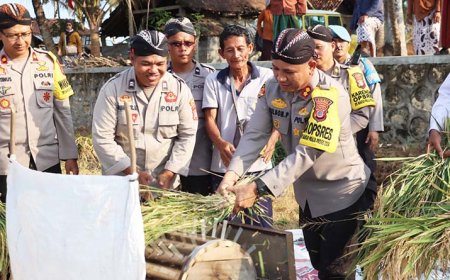 Kapolres Pimpin Panen Raya di Bulak Nglatek Lendah, Dukung Kedaulatan Pangan