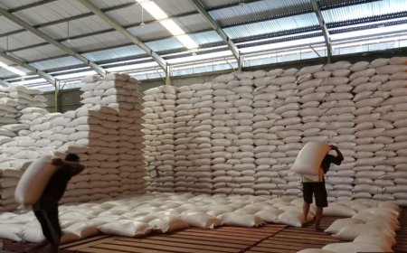 Bapanas Menjadwalkan Penyaluran Bantuan Beras Semester II