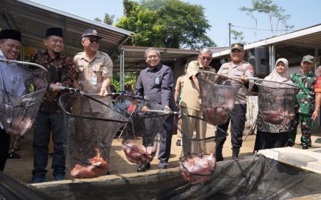 Dengan Teknologi Sibudidikucir Pokdakan Mina Makmur Jaya Panen Nila 1,60 Ton