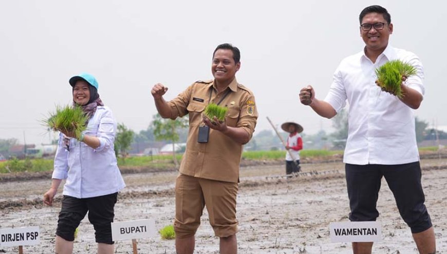 Wakil Menteri Pertanian Bilang Petani Jangan Kesusahan 