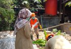 Dua Keluarga Sampai Mengungsi, Warga Plumutan Minta Peternakan Babi Ditutup