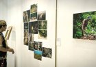 Garam Hitam dari Rawa-rawa Papua, Inovasi Ekonomi Hijau dalam Pameran Foto Fambi Mait Teme