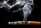 Kemasan Polos Rokok Diprotes dari Berbagai Arah, Pemerintah Diminta Kaji Ulang Dampak Sosial dan Ekonomi