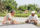 Belajar dari Subiyanto, Mantan Buruh Pabrik Hidupnya Mapan Jadi Petani Milenial