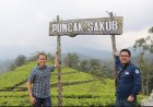 Indahnya Puncak Sakub, Hijau Kebun Teh Sejauh Mata Memandang