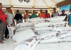Pemilik Sapi Betina Bunting Terima Bantuan Satu Kuintal Konsentrat