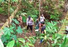 Lansia Penderes Nira Ditemukan Meninggal, Jatuh dari Ketinggian 12 Meter