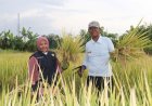 Program Sleman Kawasan Pertanian Sehat Menguntungkan Petani