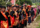 Festival Kebudayaan Pasa Harau Dipadati Wisatawan
