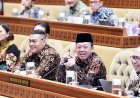 537 Perusahaan Kelapa Sawit Bakal Kena Sanksi, Nusron Sebut Mereka Beroperasi Tanpa HGU