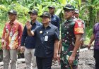TMMD Sengkuyung Tahap IV Diharapkan Tingkatkan Kesejahteraan Masyarakat 