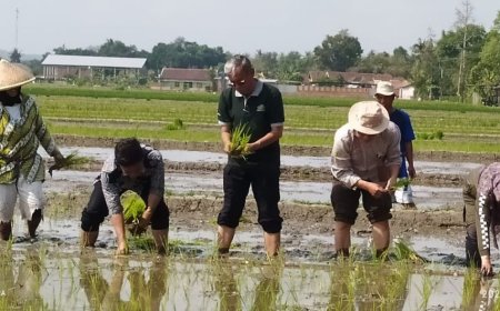 Dinas Pertanian Sleman Mendampingi Petani Tiwir Moyudan Berpacu dengan Waktu